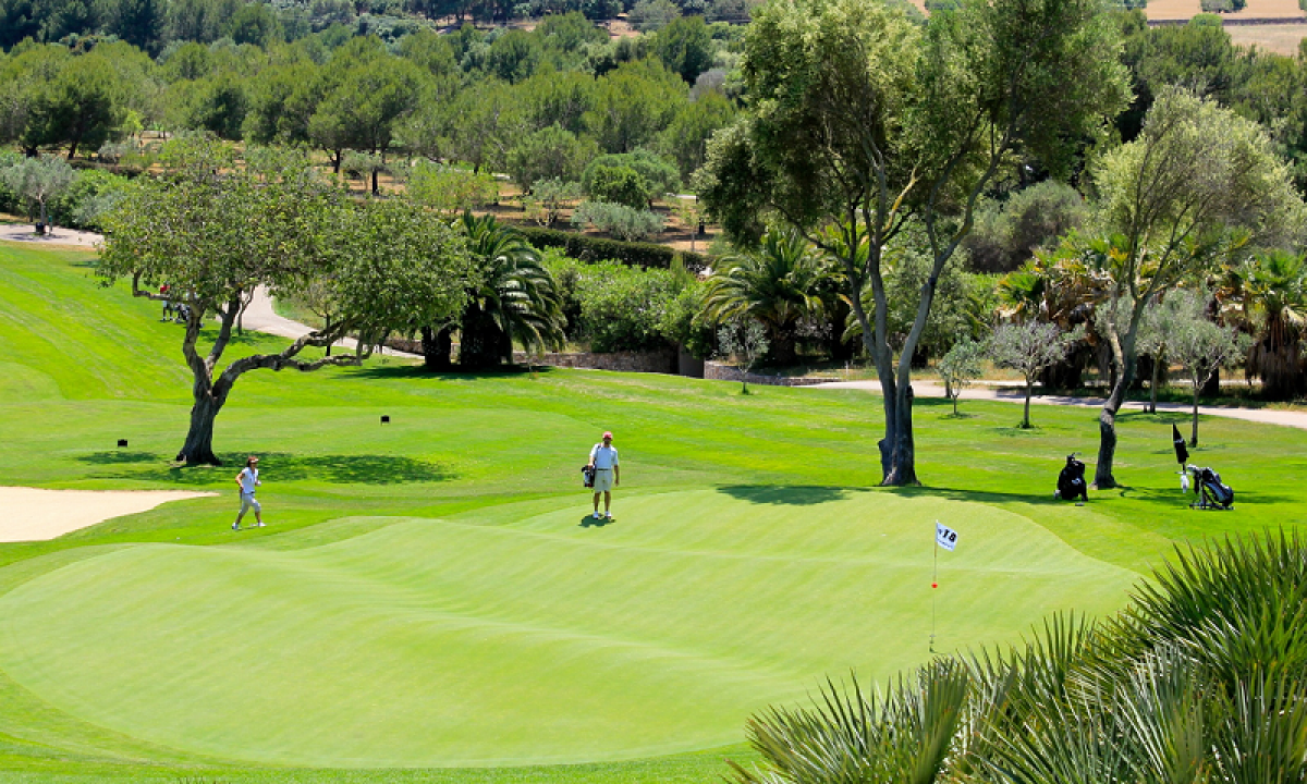 Play in North Mallorca-Summer Special